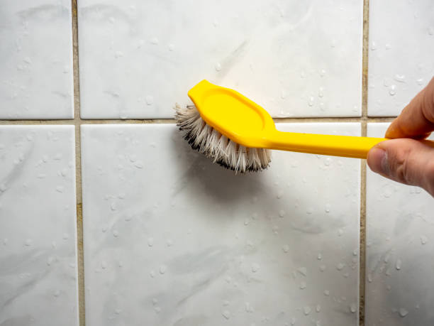 Professional Mold Removal in Wanchese, NC