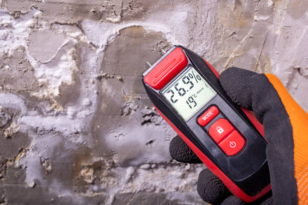 Best Crawl Space Mold Removal  in Wahese, NC
