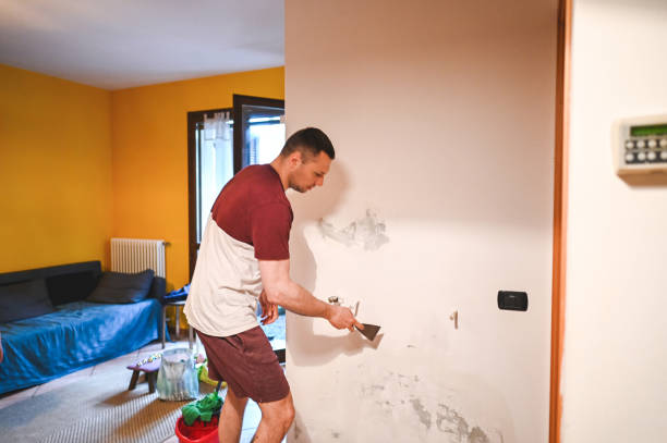 Best Office Mold Removal Services  in Wahese, NC